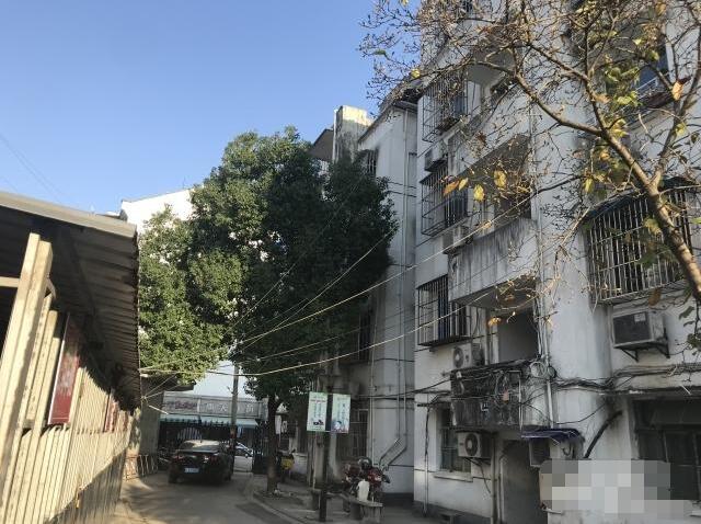 1595651347929768.jpg 15530430683410230.jpg